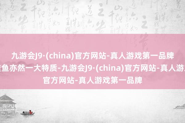 九游会J9·(china)官方网站-真人游戏第一品牌瓦屋山的雅鱼亦然一大特质-九游会J9·(china)官方网站-真人游戏第一品牌