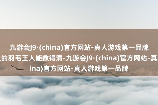九游会J9·(china)官方网站-真人游戏第一品牌致使连天鹅身上的羽毛王人能数得清-九游会J9·(china)官方网站-真人游戏第一品牌