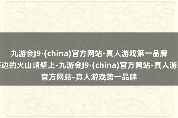 九游会J9·(china)官方网站-真人游戏第一品牌它缔造在海边的火山峭壁上-九游会J9·(china)官方网站-真人游戏第一品牌