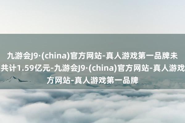 九游会J9·(china)官方网站-真人游戏第一品牌未清偿金额共计1.59亿元-九游会J9·(china)官方网站-真人游戏第一品牌