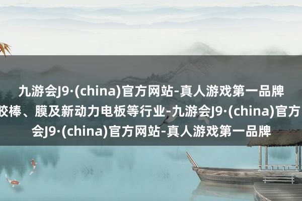 九游会J9·(china)官方网站-真人游戏第一品牌比年新愚弄领域拓展至胶棒、膜及新动力电板等行业-九游会J9·(china)官方网站-真人游戏第一品牌